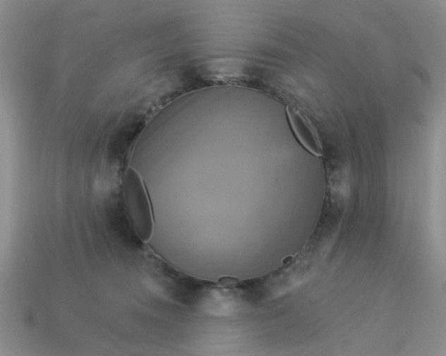 X0000113050372200909101944