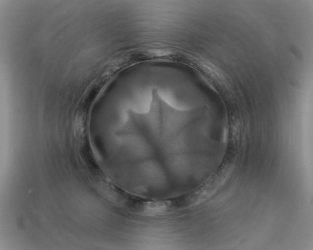 X0000113050373200909101944