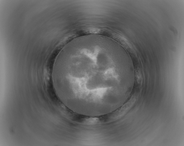 X0000113050374200909101944