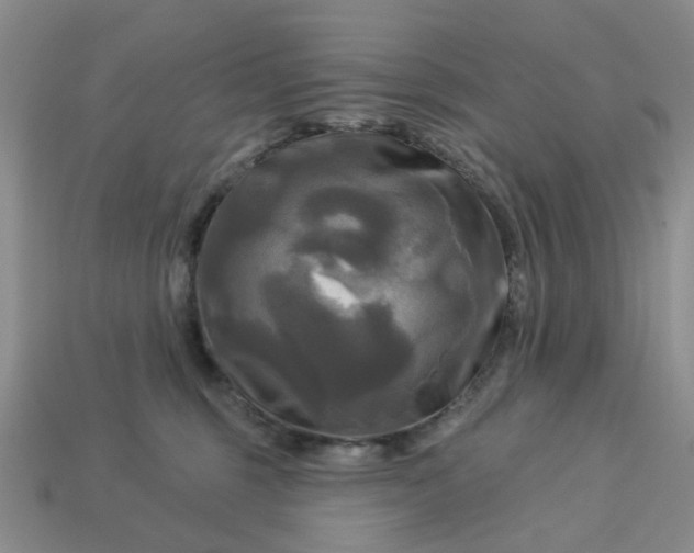 X0000113050375200909101944