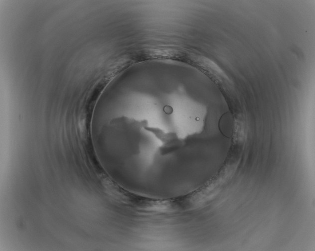 X0000113050377200909101944