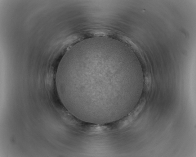 X0000113050379200909101944