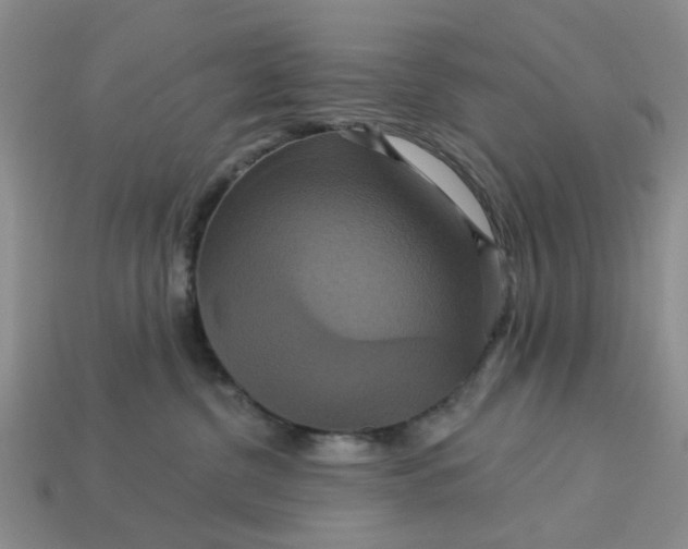 X0000113050380200909101944