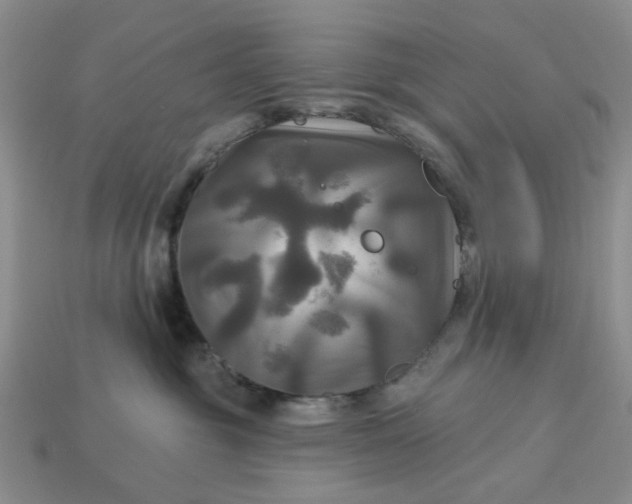 X0000113050381200909101944