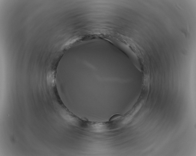 X0000113050383200909101944