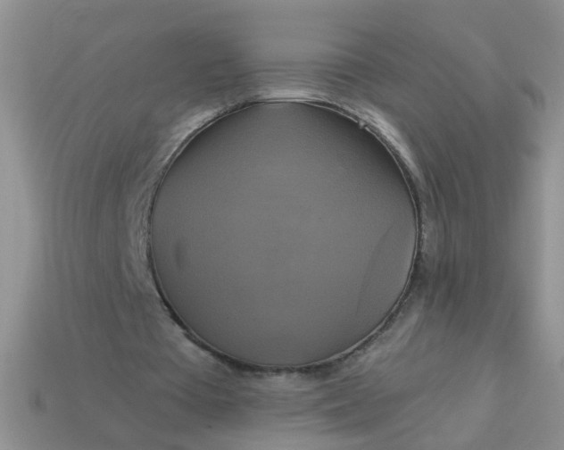 X0000113050385200909101944