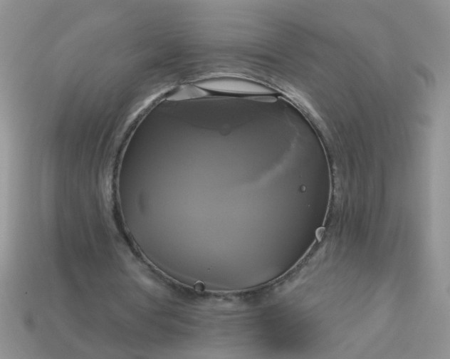 X0000113050386200909101944