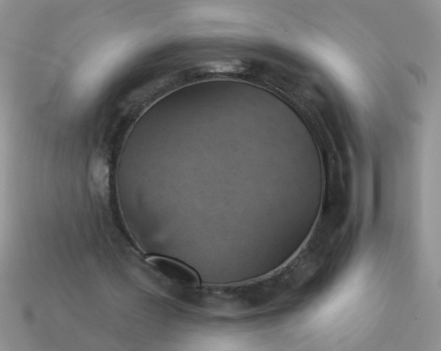 X0000113050387200909101944