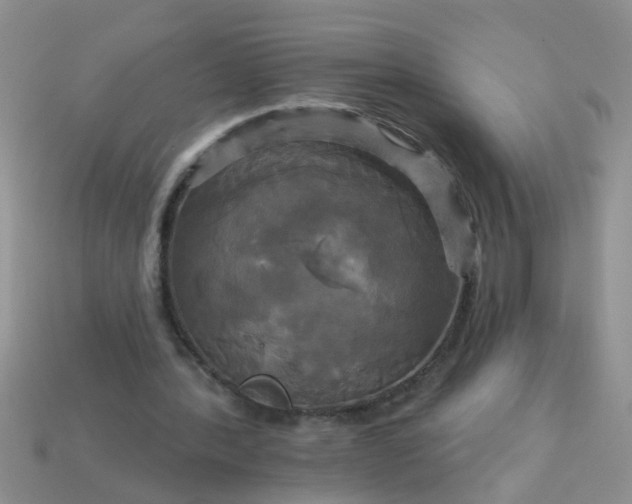 X0000113050388200909101944