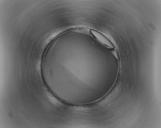 X0000113050389200909101944