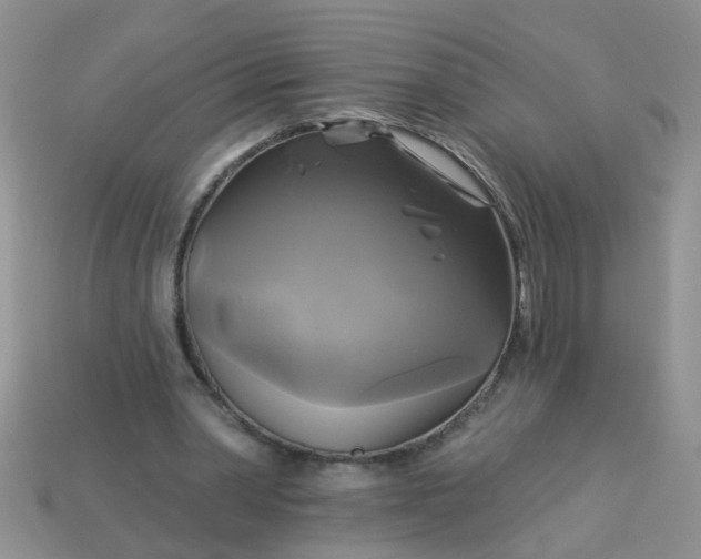 X0000113050390200909101944