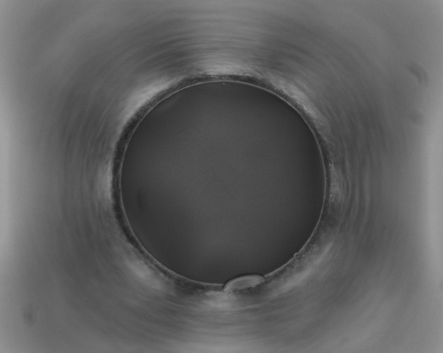 X0000113050391200909101944