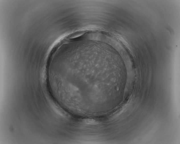 X0000113050392200909101944