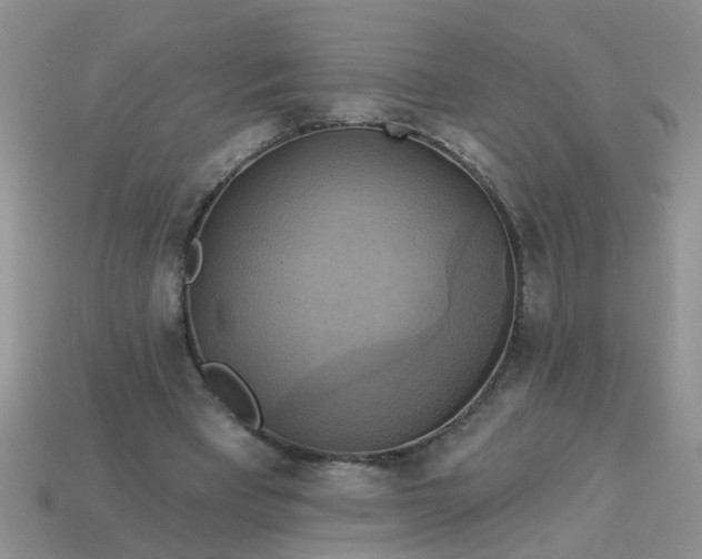 X0000113050393200909101944