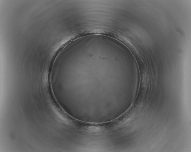 X0000113050394200909101944