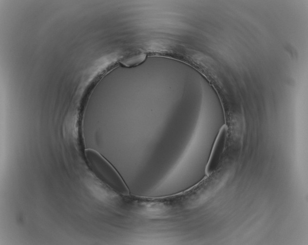 X0000113050395200909101944