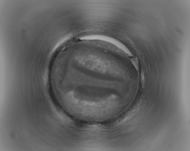 X0000113050396200909101944