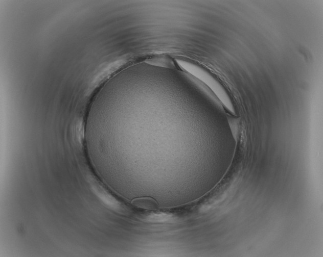 X0000113050397200909101944