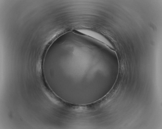 X0000113050398200909101944