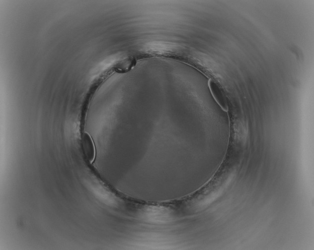 X0000113050399200909101943