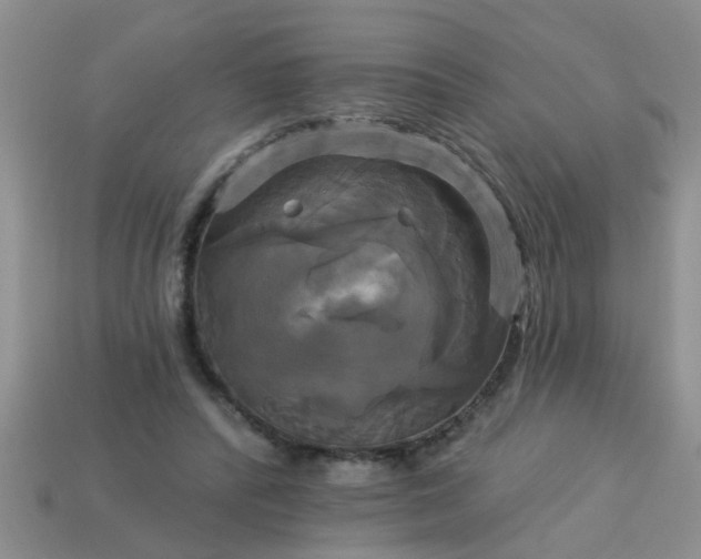 X0000113050400200909101943