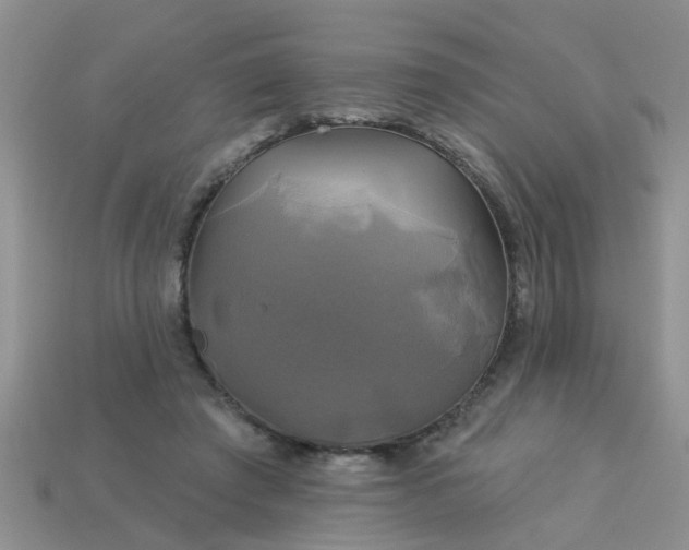 X0000113050401200909101943