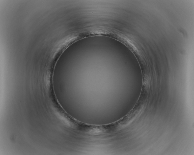 X0000113050402200909101943