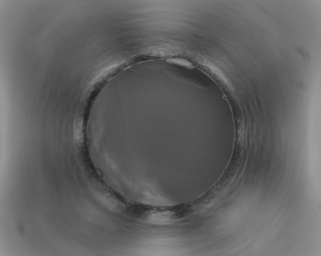 X0000113050403200909101943