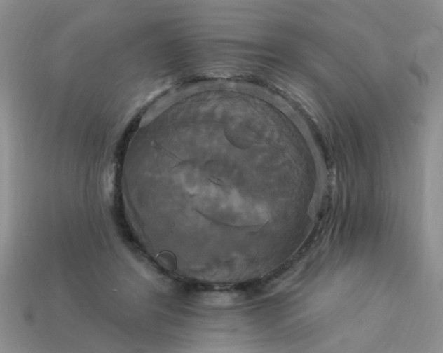 X0000113050404200909101943