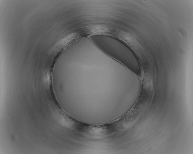 X0000113050405200909101943