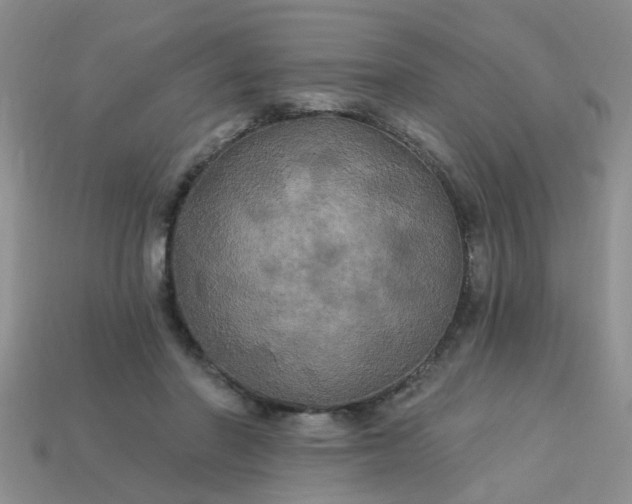 X0000113050406200909101943