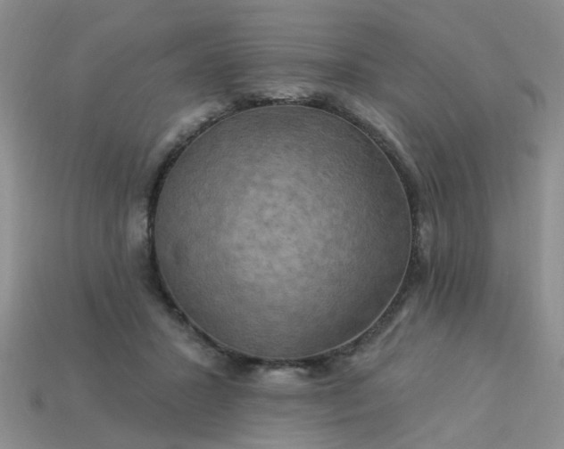 X0000113050407200909101943