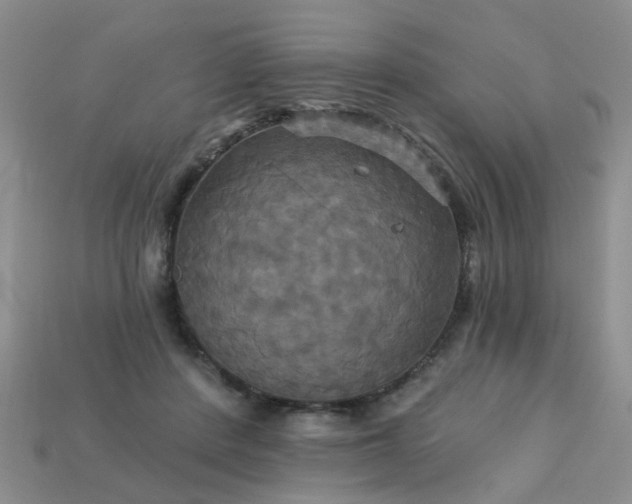 X0000113050408200909101943