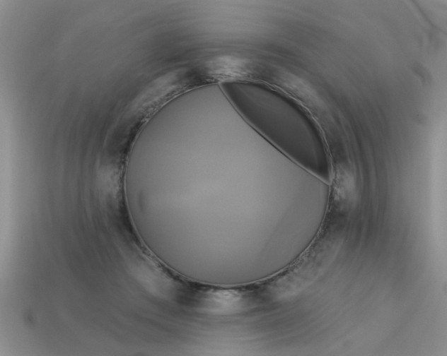 X0000113050409200909101943