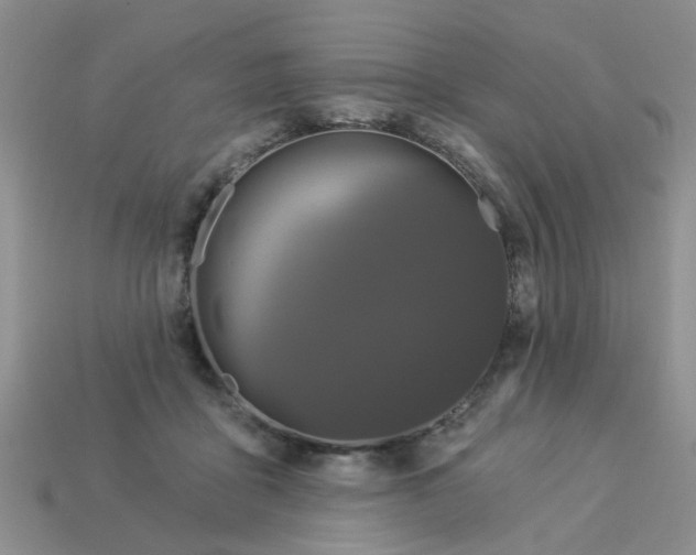 X0000113050411200909101943