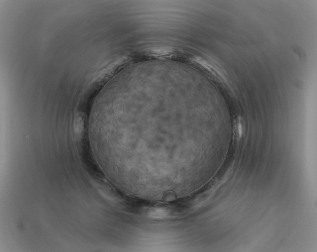 X0000113050412200909101943