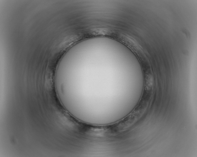 X0000113050414200909101943