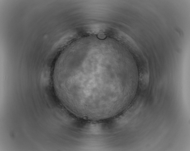 X0000113050416200909101943