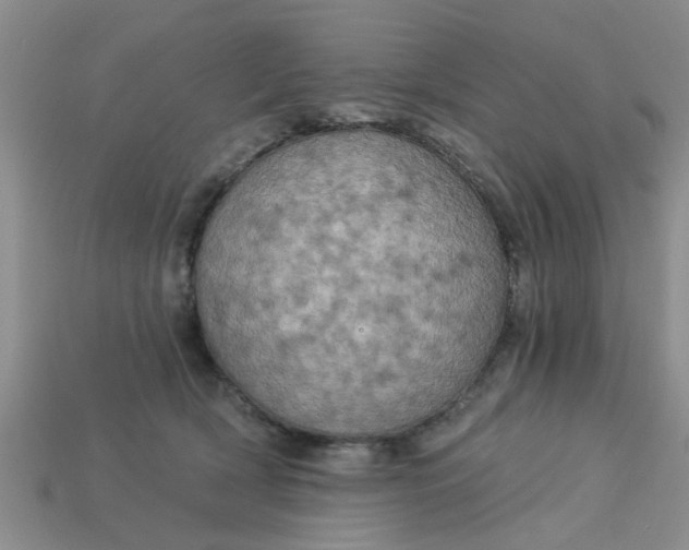 X0000113050418200909101943