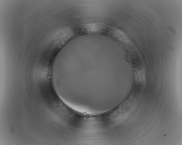 X0000113050419200909101943