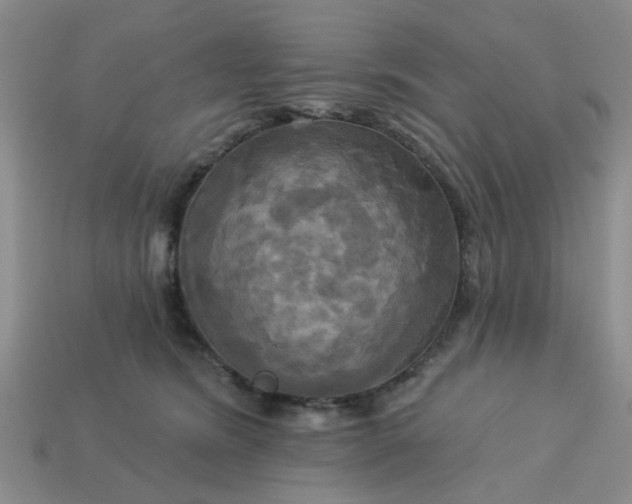 X0000113050420200909101943