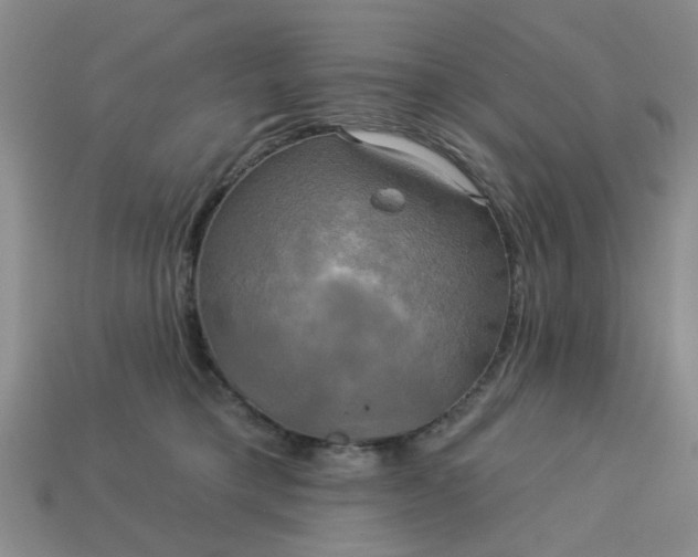 X0000113050421200909101943