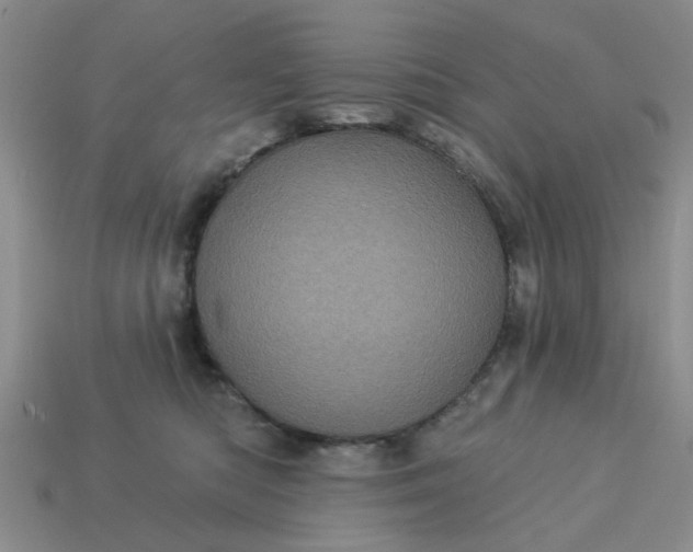 X0000113050422200909101943