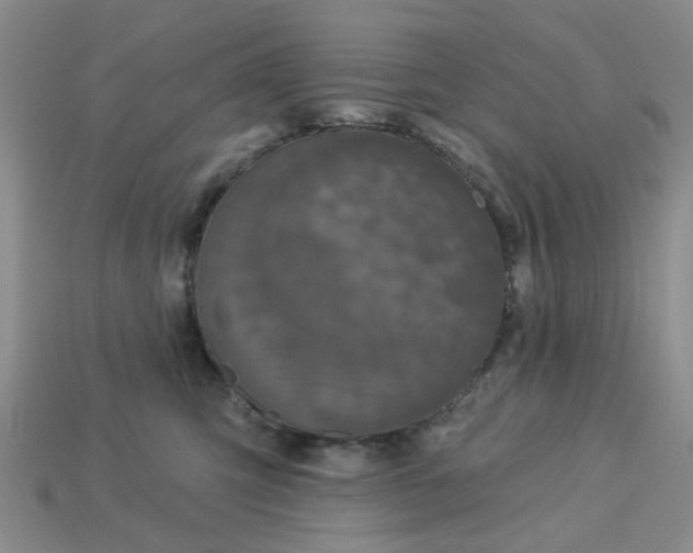 X0000113050423200909101943