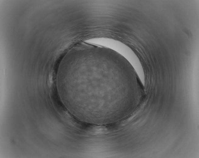 X0000113050424200909101943