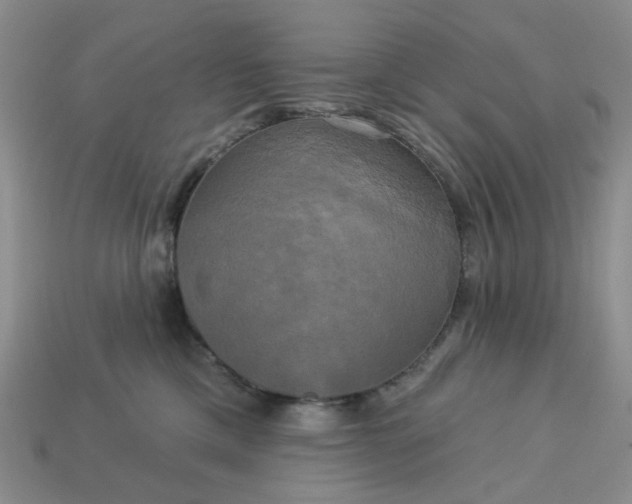 X0000113050425200909101943