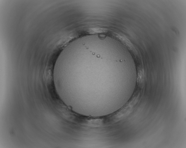 X0000113050426200909101943