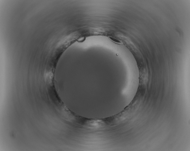 X0000113050427200909101943