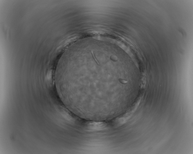 X0000113050428200909101943