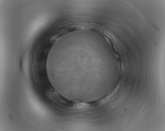 X0000113050429200909101943